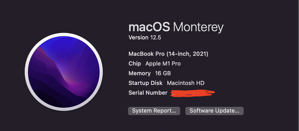 My macbook config